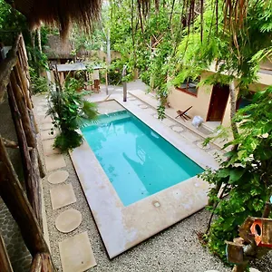 la-selva-apartments-tulum.tulum-hotels.net/